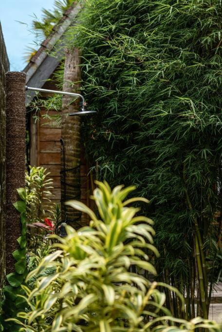 The Padang Villa Jungle Escape 5 Mins Drive From Uluwatu'S Beaches Exterior foto